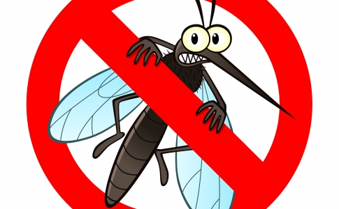 Москитные Сетки | Москитная ✈Сетка | Купить $Цена Заменить Установить ★Сетку от Комаров